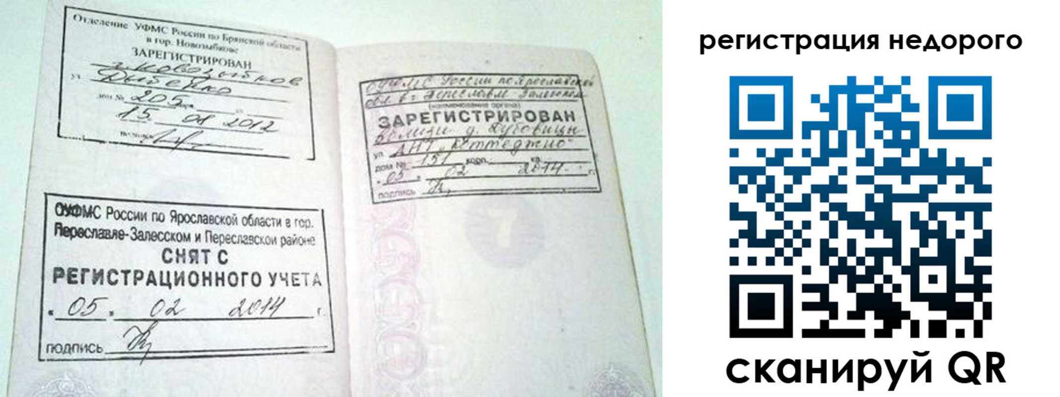 прописка поиск в Губкинском